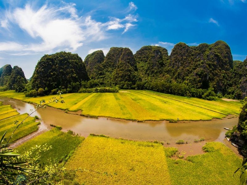 phototrip - Mùa vàng Sông Ngô Đồng