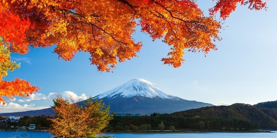 Phototrip - Mùa thu Nhật Bản